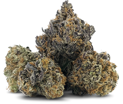Iced Zuchi - 3.5g