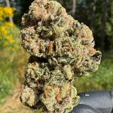 Hippie Diesel - 2g
