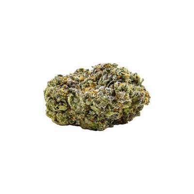 Jack Herer Jamboree Budskis - 3.5g