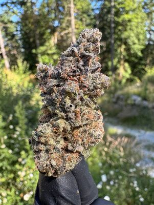 Gummy Bunz - 28g