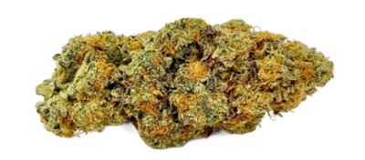 Dank Sinatra - 7g