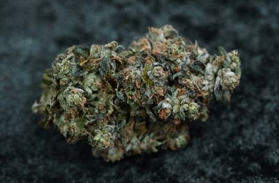 Jelly Donutz - 2g