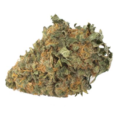 Jacky White Smalls - 7g