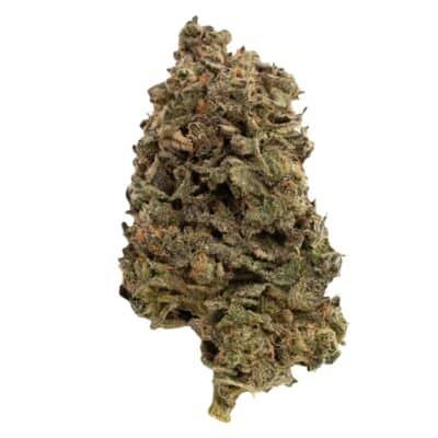 Green Congo - 3.5g