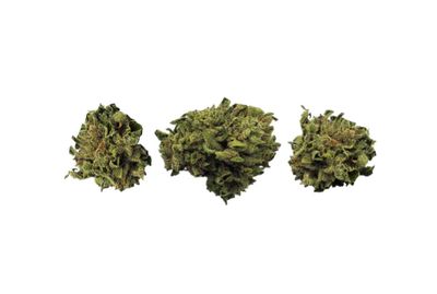 Coastal Fog (Outdoor Grown) - 14g