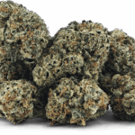 Sticky Wasabi Smalls - 3.5g