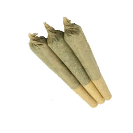Organic Mango Gold PR - 3x0.5g