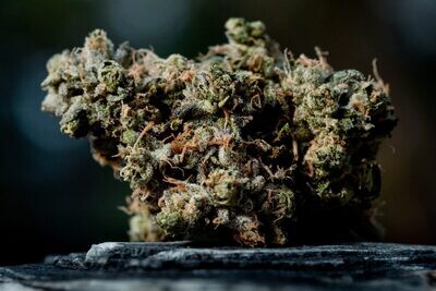 Hippie Headbanger - 2g