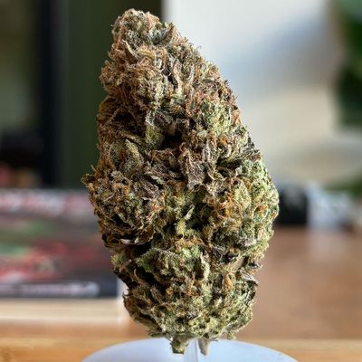 Hella Jella - 5g
