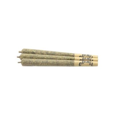 Animal Face PR - 3x0.5g