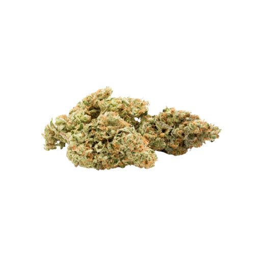 Mango Cake - 3.5g