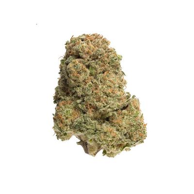 Bandwagon Sativa (Lemon Cello) - 7g