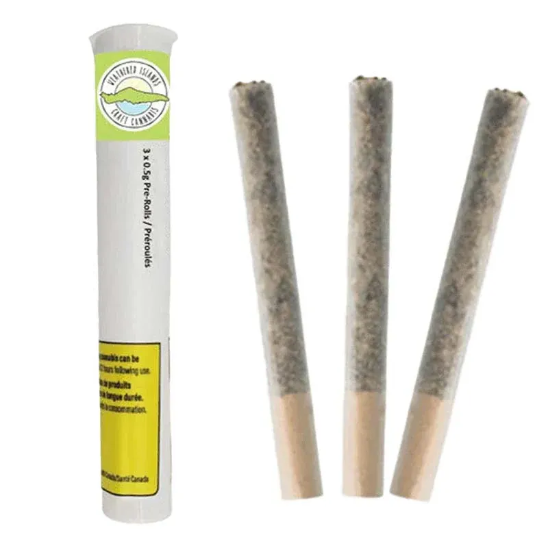 Coastal Fog PR - 3x0.5g