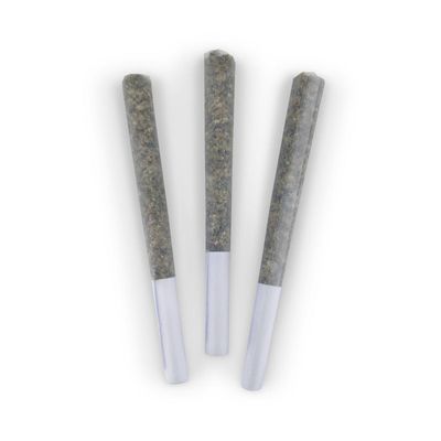 Great White Shark PR - 3x0.5g