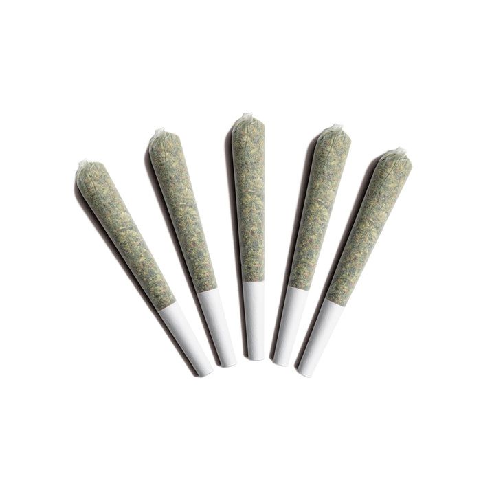 Arctic Sun PR - 5x0.5g