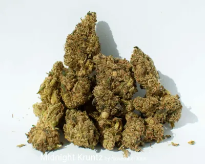 Midnight Kruntz - 28g