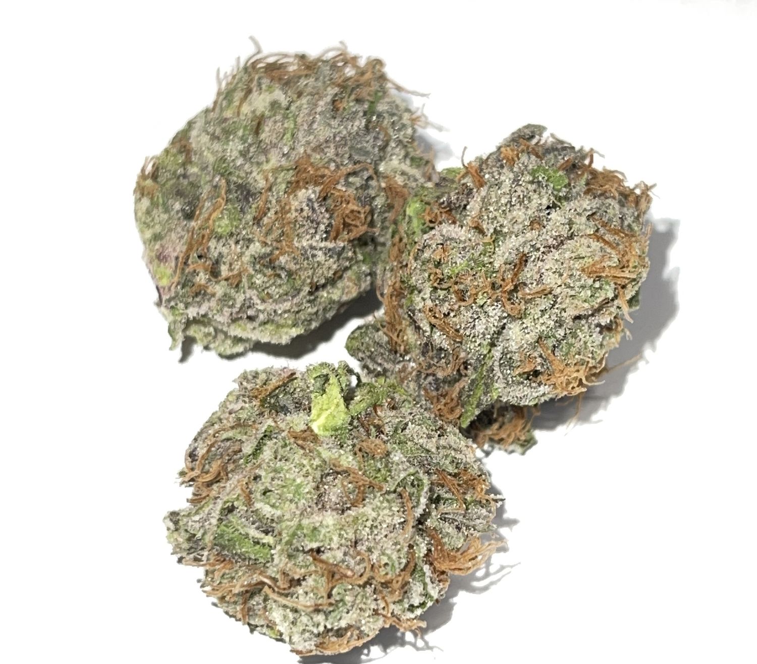 Blue Zushi - 2g