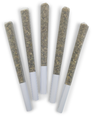 White Widow PR - 5x0.5g