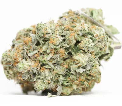 El Chapo Smalls - 7g