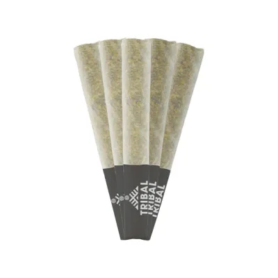 Neon Sunshine Pre-rolls - 5 x 0.5g