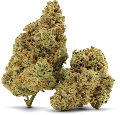 Mango Tangi - 3.5g