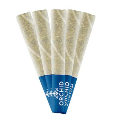 Jean Guy CBD PR - 5x0.5g
