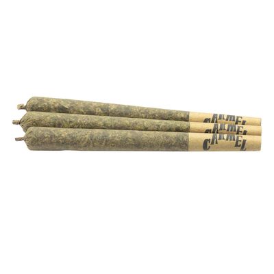 Mai Tai x Jungle Cake PR - 3x0.5g