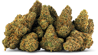 Blueberry Bubba - 14g