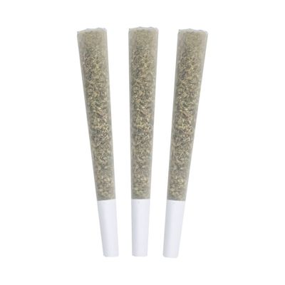 Gastro Pop's PR - 3x0.5g