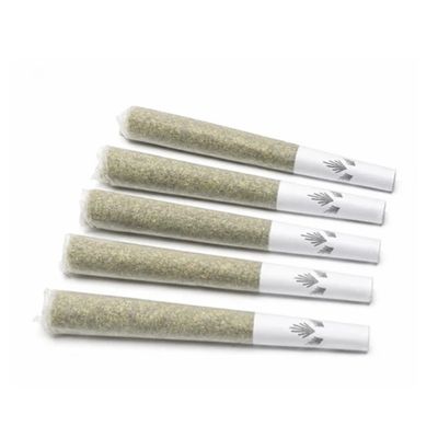 Strawberry Guava - 5x0.5g