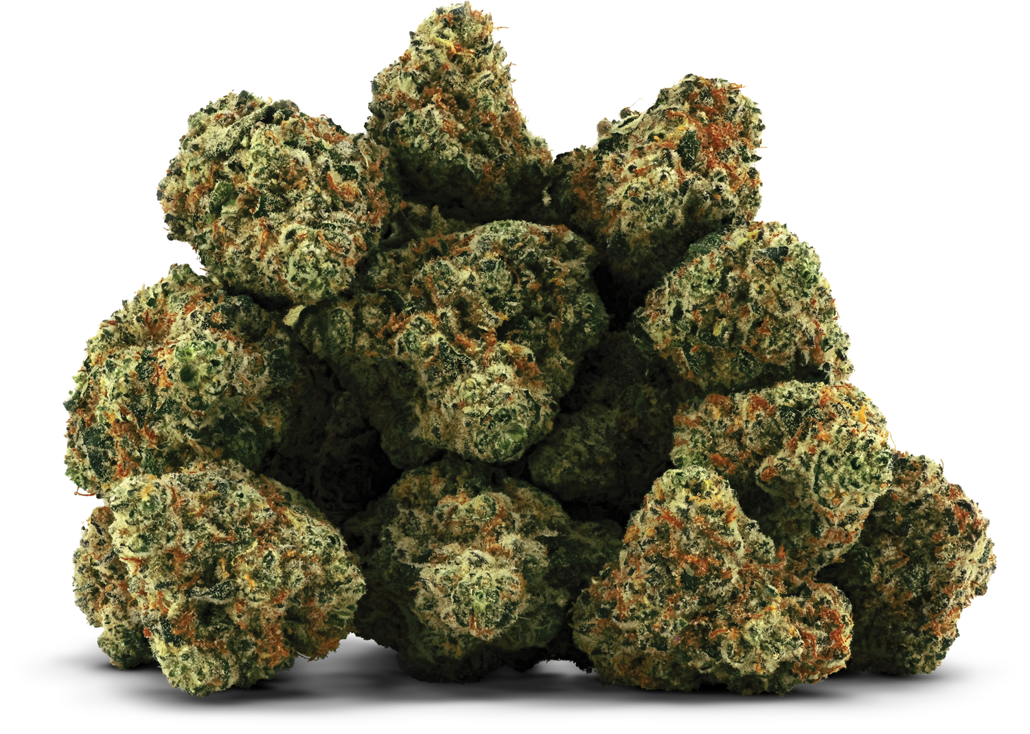 Gelato Sweet Tea