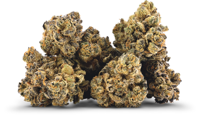 Trash Panda - 3.5g