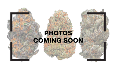 Sticky Runtz - 14g