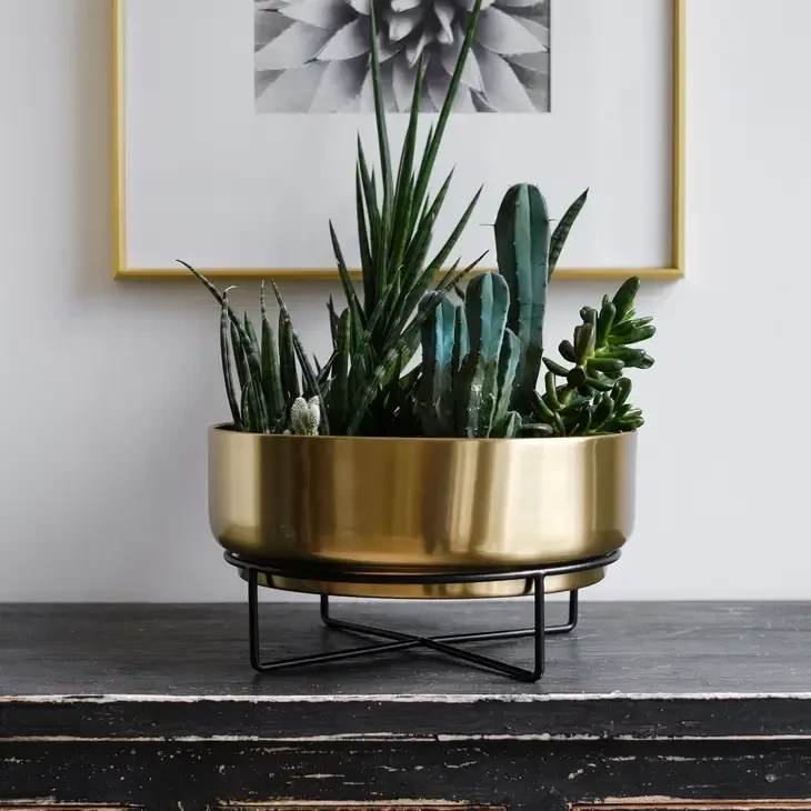 12 Inch Mid Century Large Round Succulent Planter Bowl