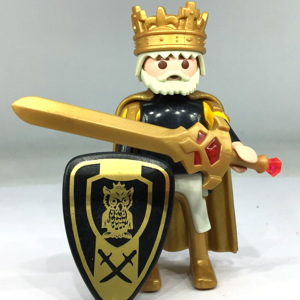 playmobil roi hibou