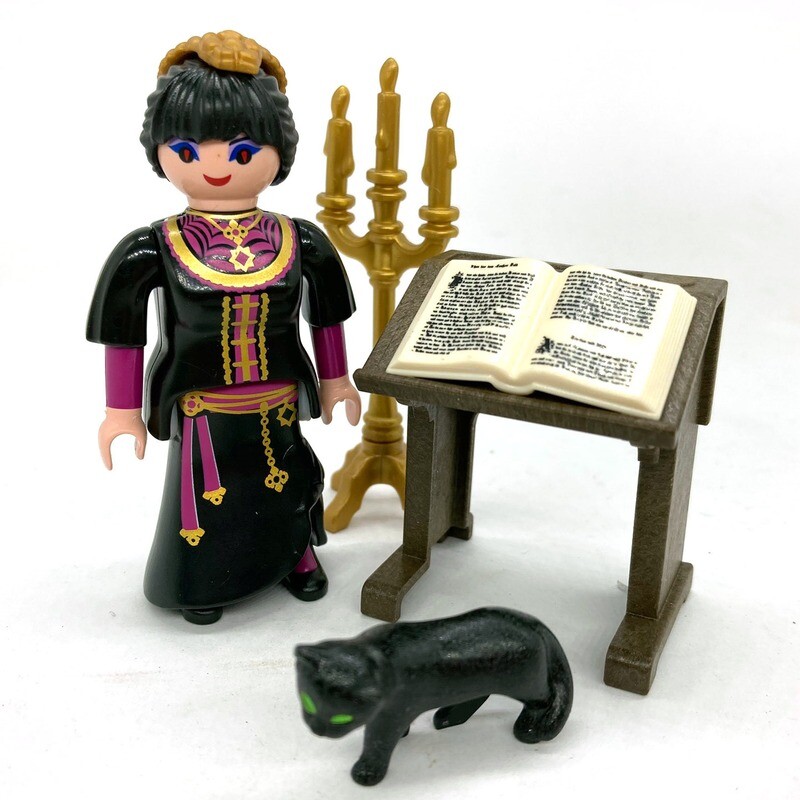 playmobil sorcière au chat