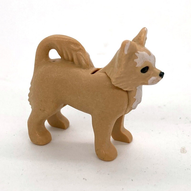 Playmobil chien chihuahua beige 2