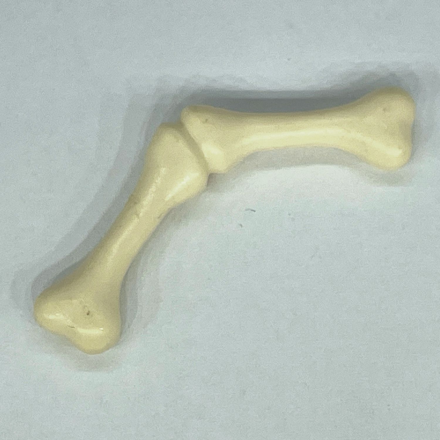 playmobil os femur