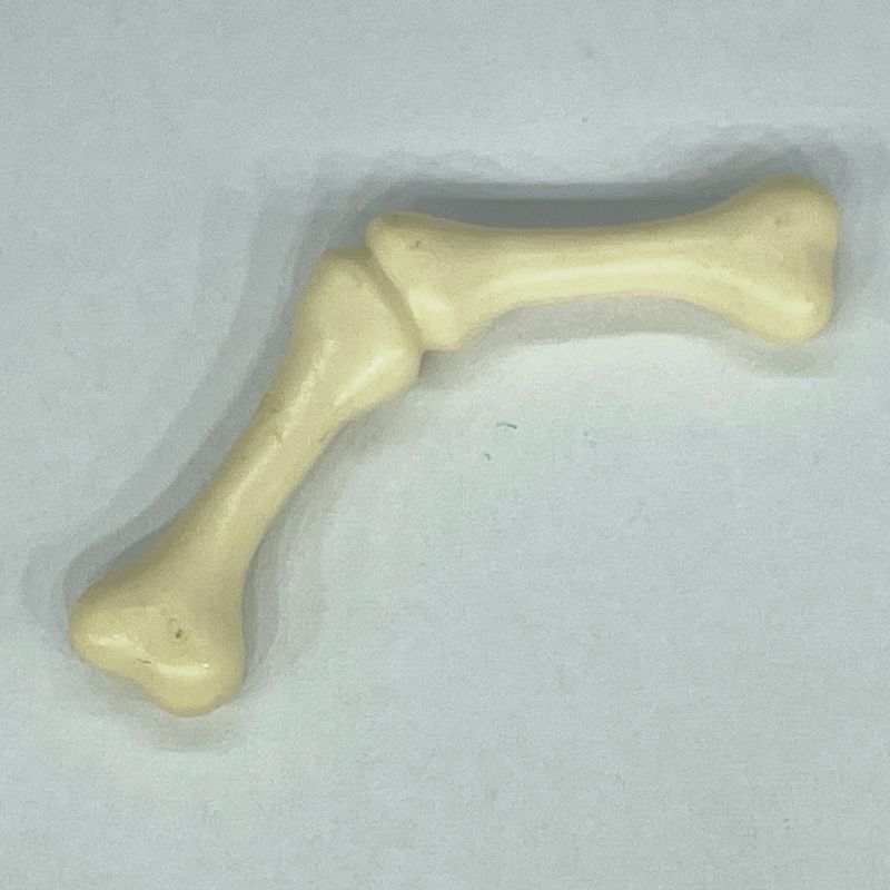 playmobil os femur