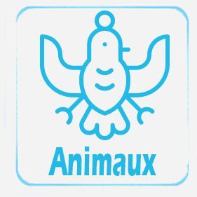 Animaux Playmobil