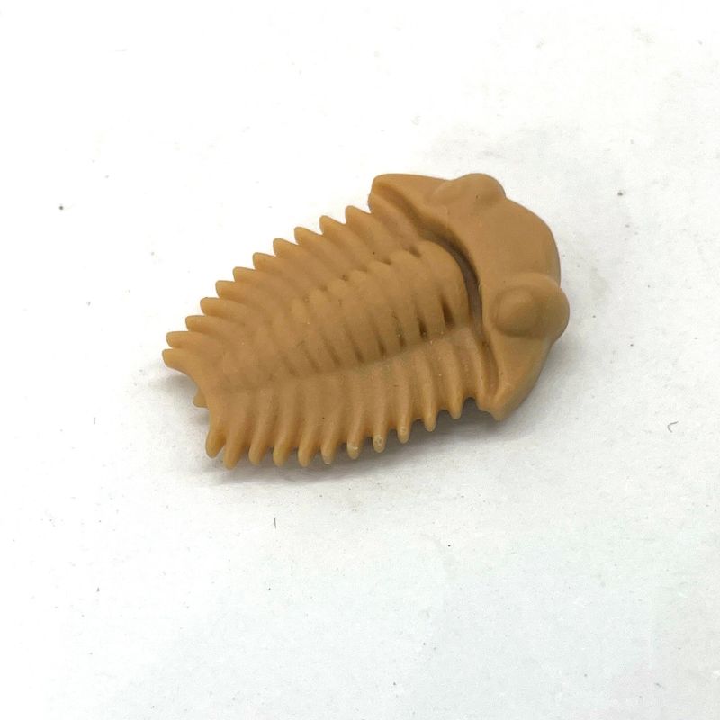 playmobil fossile