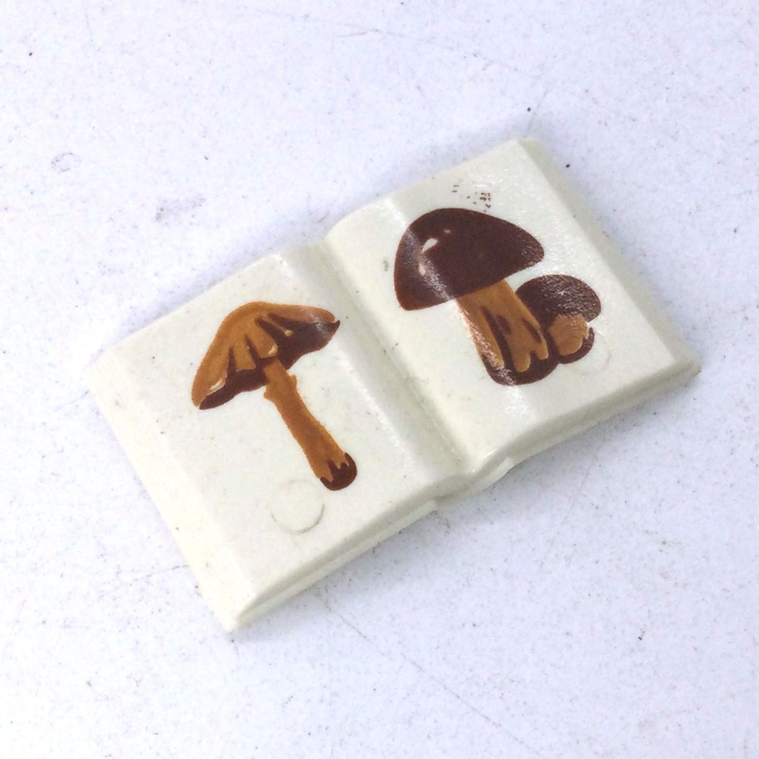 playmobil livre champignon