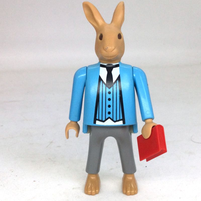 playmobil monsieur lapin professeur