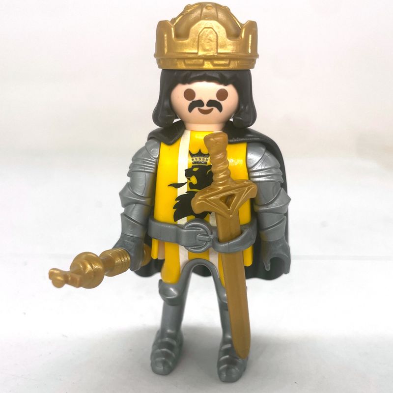 playmobil roi lion noir