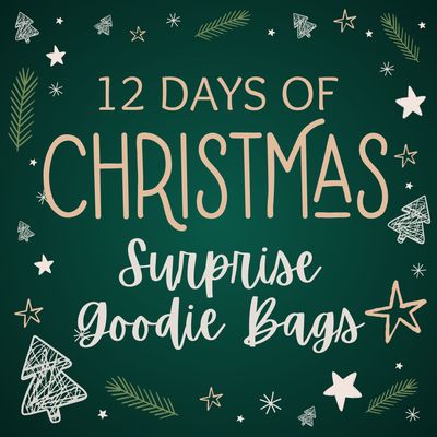 Holiday Surprise Goodie Bags!