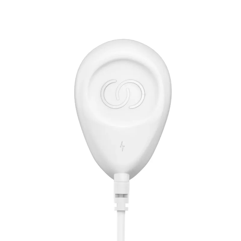 LumiSpa iO Replacement Magnetic Charger
