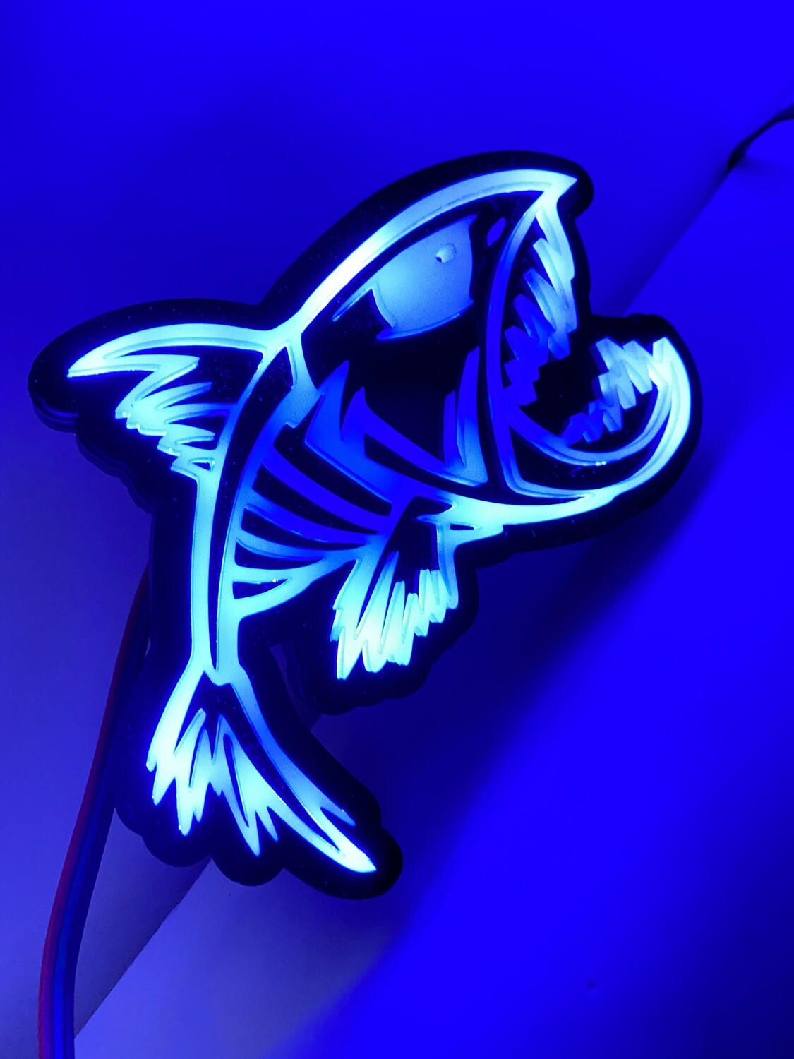 LitePulse Custom Illuminated Badges