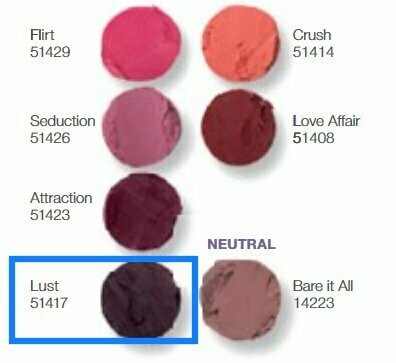 Matter Lippenstift mit hoher Deckkraft 4 g Lust