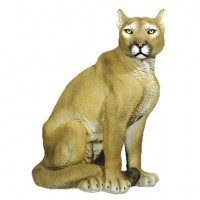 Large Mountain Lion