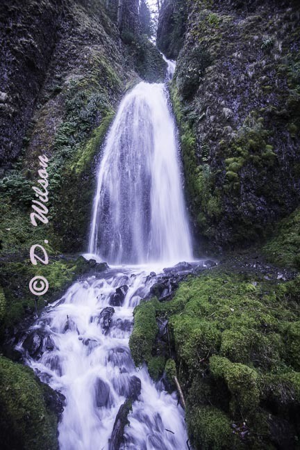 Bridal Falls, Or 1 --  starting at